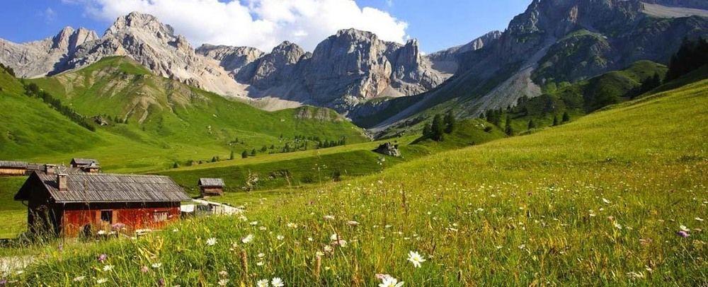 Alpencolor Tonale 3*